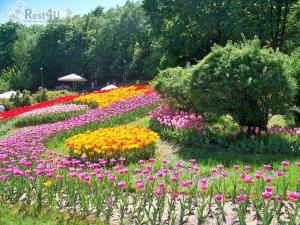 Виставка весняних квітів у Києві (кінець квітня - початок травня)