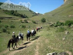 В Крыму планируется развивать конный туризм
