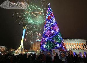 За два дні у Києві почнуть збирати головну новорічну ялинку України